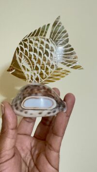 IMG-20260103-WA0018