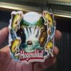 Hogenakkal fridge magnet