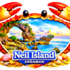 neil Island Fridge magnet andaman nicobar island