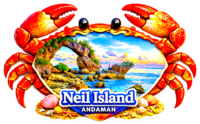 neil Island Fridge magnet andaman nicobar island