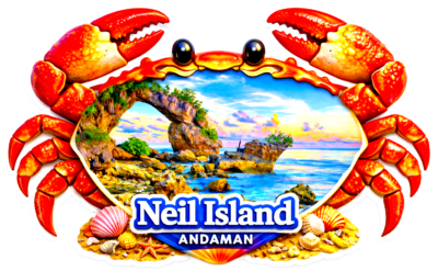 neil Island Fridge magnet andaman nicobar island