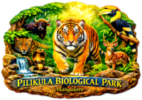 udupi fridge magnet