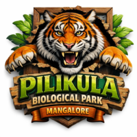 Mangalore fridge Magnet