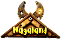 Nagaland Fridge magnet-wood