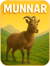 Kerala fridge magnet